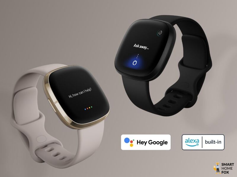 assistant vocale alexa google fitbit